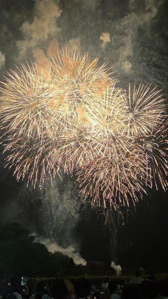 【静岡】海岸おそうじ(静岡チーム通算第312回)画像