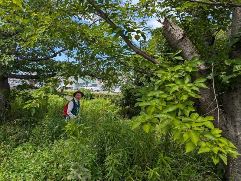 TAKASAGOgreenレンジャー画像