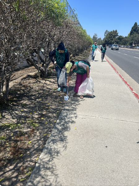 2024年の12回目のお掃除画像