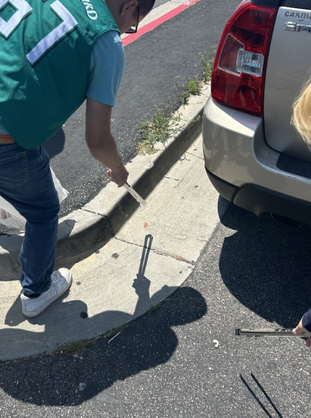 2024年の12回目のお掃除画像