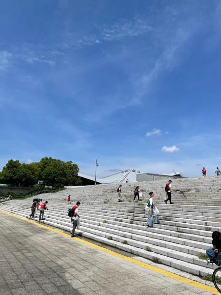 駒沢公園おそうじ画像