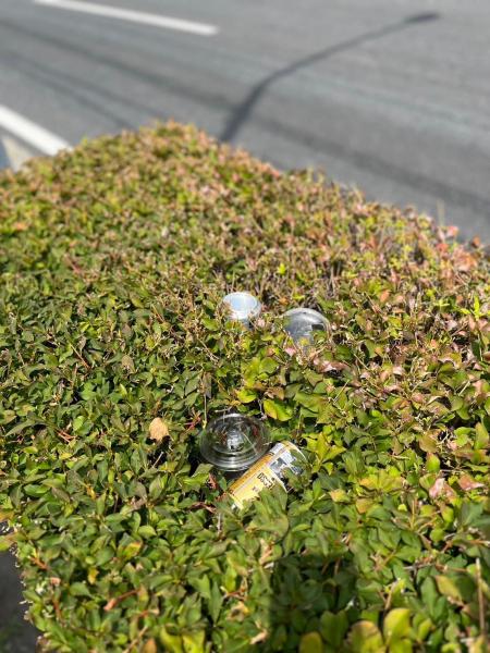 【井土ヶ谷】定期清掃画像