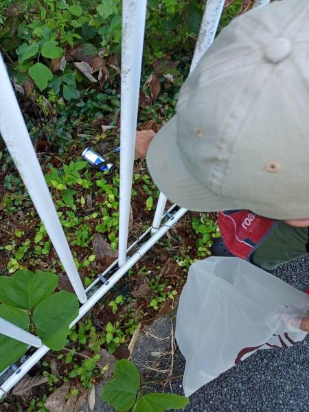 熱中症に警戒しながらお掃除画像