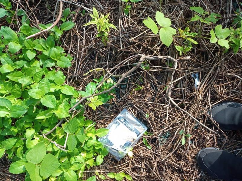 熱中症に警戒しながらお掃除画像