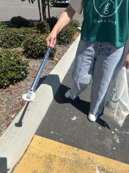 今年13回目のお掃除画像