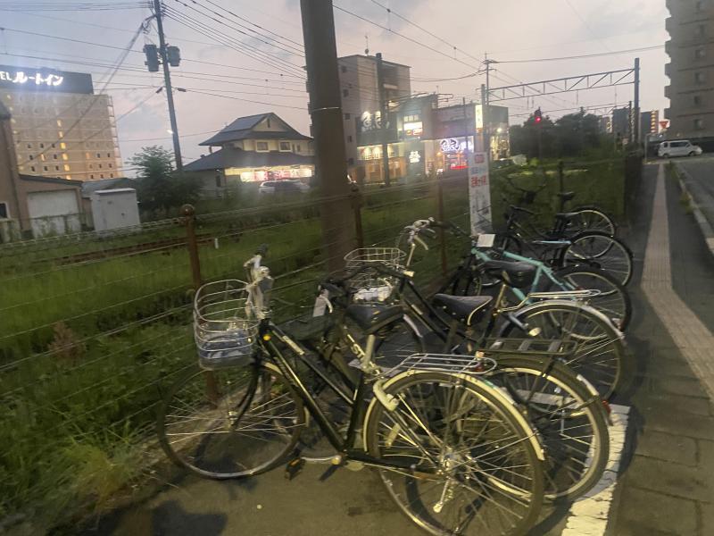 雨はふってしまったけれど画像