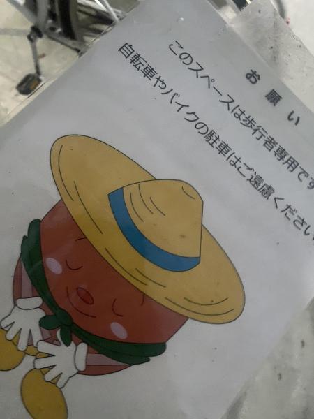 雨はふってしまったけれど画像