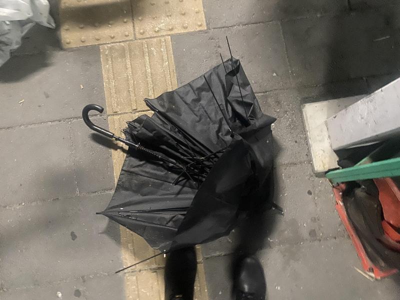 雨はふってしまったけれど画像