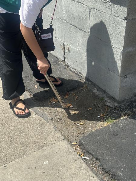 今年14回目のお掃除画像