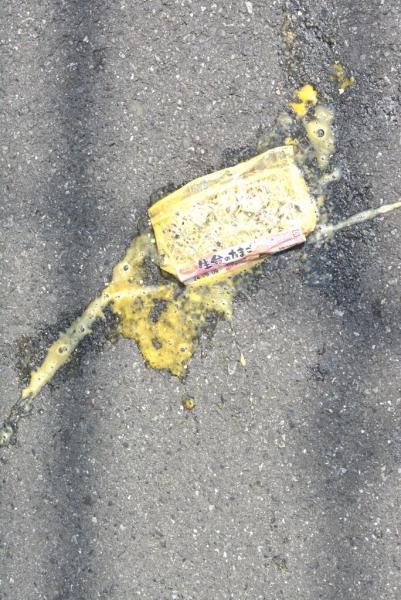 今日のお掃除日記2024年8月25日編画像