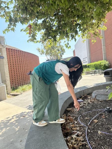 今年15回目のお掃除！ついに秋学期が始まりました！画像