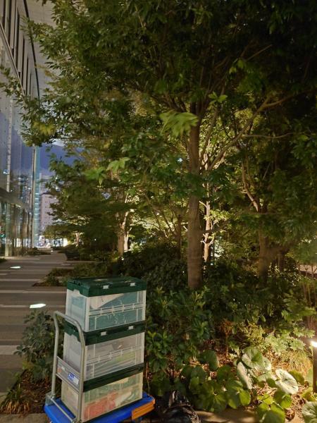 再び足を怪我してしまい、、、8月22日の虎ノ門そうじ画像