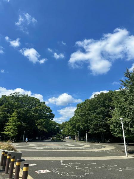 久しぶりに代々木公園ルートへ！画像