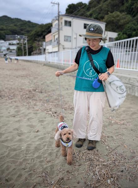 海のスパイシーイブニングおそうじ画像