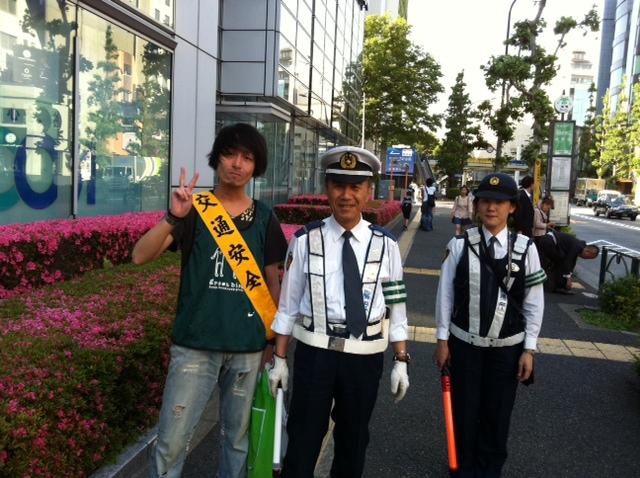 green bird in 交通整理画像