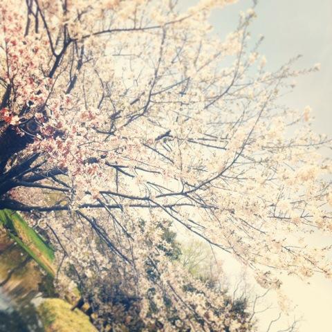 札幌／4月からのおそうじスケジュールについて画像