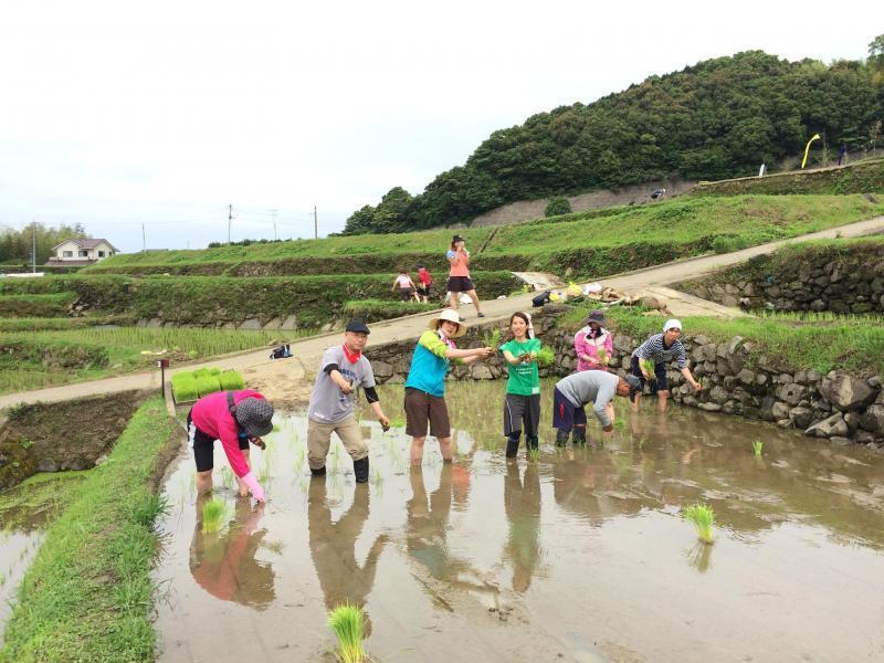 長崎チームのレッツ稲作〜田植え〜画像