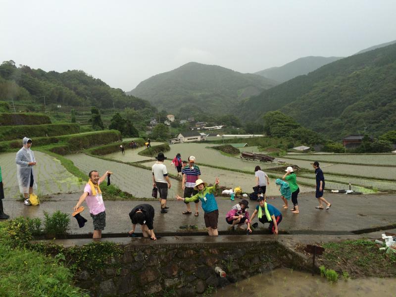 長崎チームのレッツ稲作〜田植え〜画像