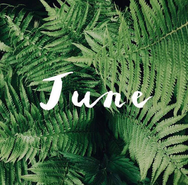 Happy Happy JUNE!!!画像