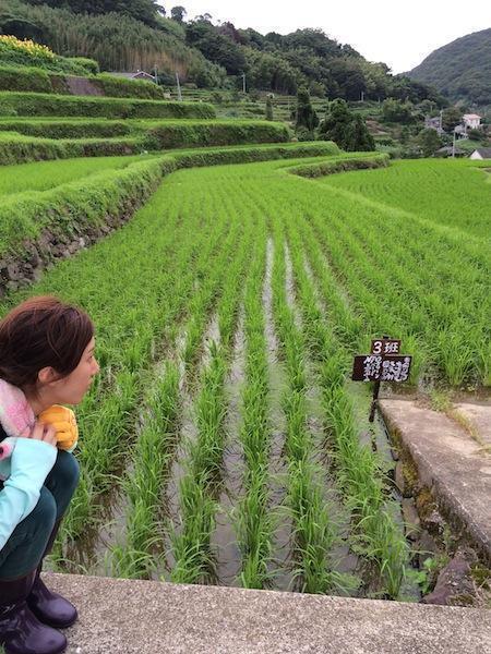 長崎チームのレッツ稲作〜草取り〜画像