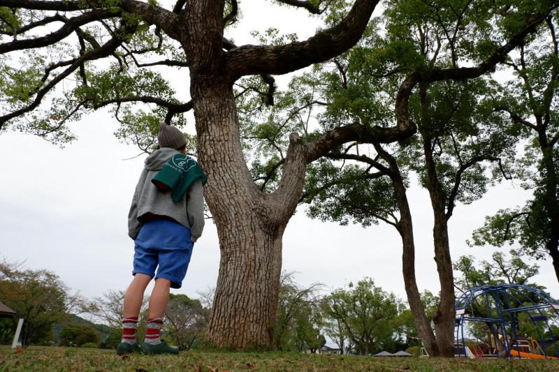 今夜は雨。おそうじは中止です。画像