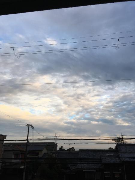 本日の夜おそうじ画像