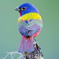 祝日のためお休みです！画像