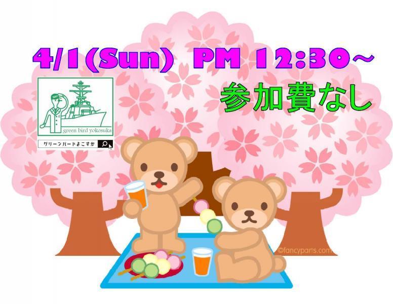 2018年お花見開催　★☆参加バードさんも大歓迎★☆画像