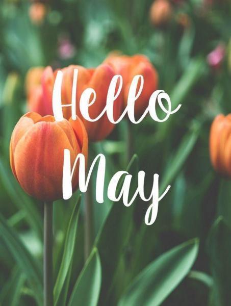 hello hello May!画像