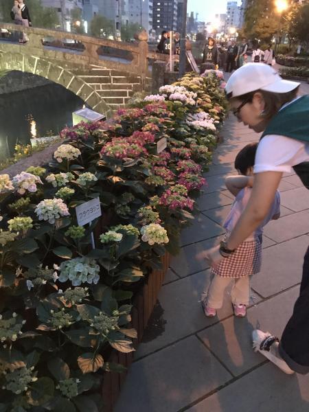 長崎ごみゼロそうじ♪画像