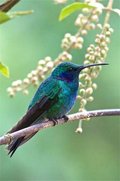 6/11(月)はお休みです！画像