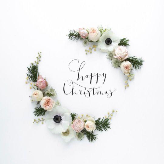 Hello Hello December画像