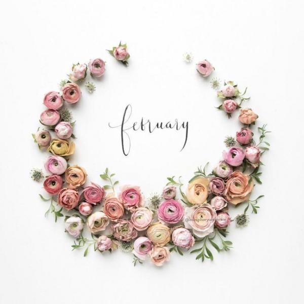 hello hello february!画像