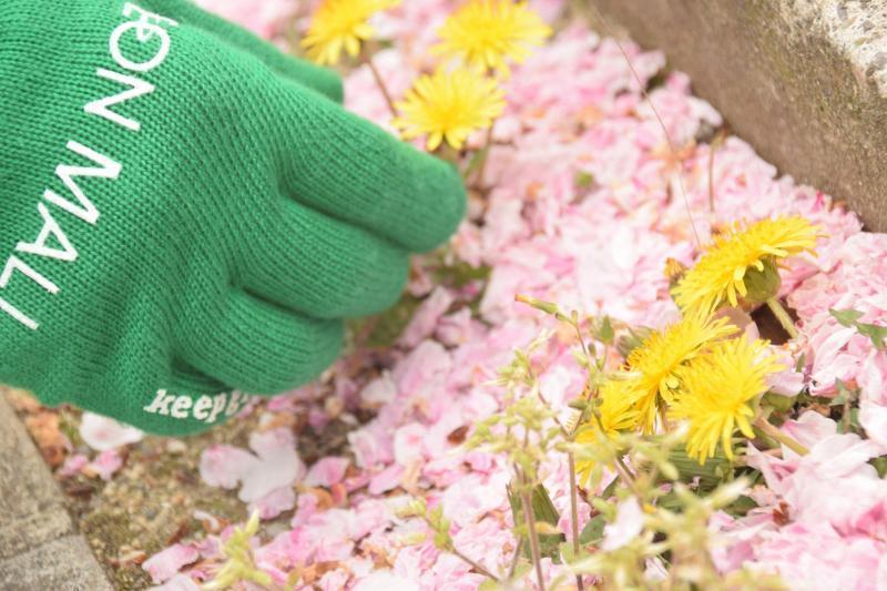 4月のおそうじ日程UP！＠徳島画像