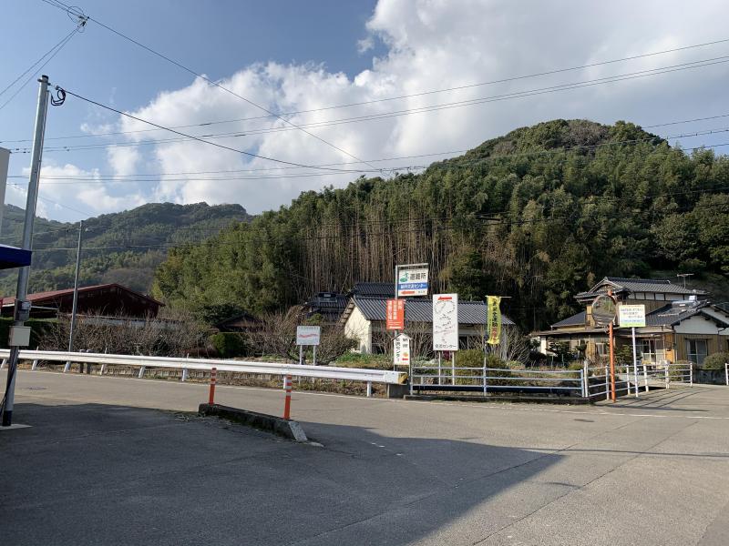 ２/１５（土）みんなで作ろう桜の里プロジェクト：桜の植樹します。画像