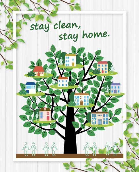 グリーンバードの活動について画像