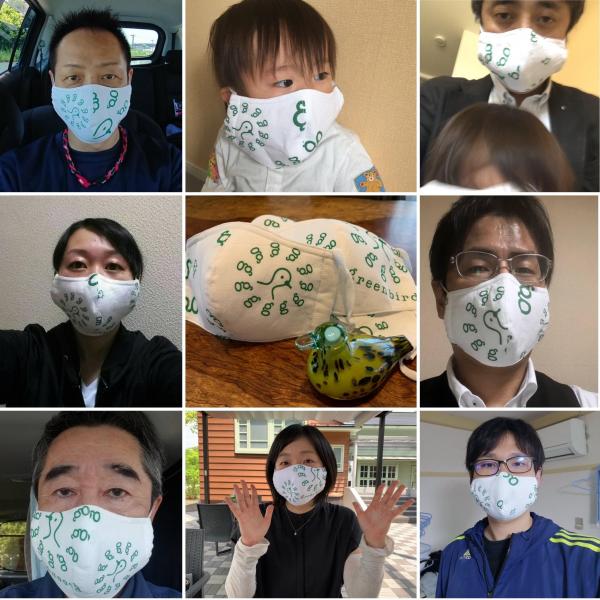 グリーンバード佐賀チーム８年目に突入画像