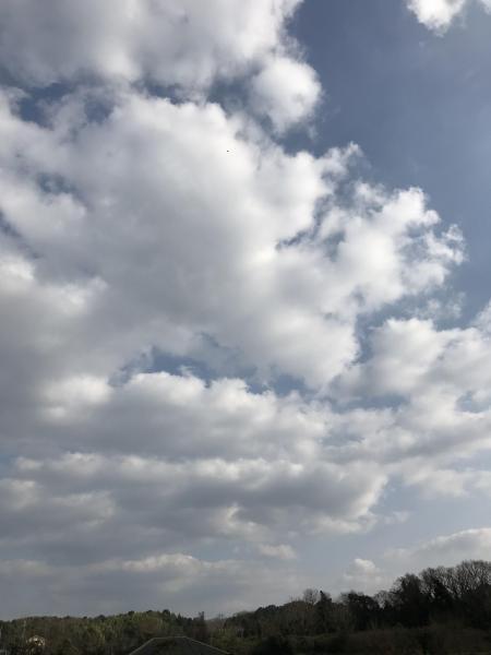 奈良五條チーム★再開について画像