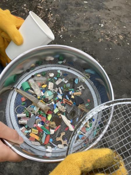 湘南海岸！江の島片瀬西浜でビーチクリーン！画像