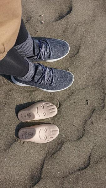 【姫路】greenbird&times;Allbirds画像