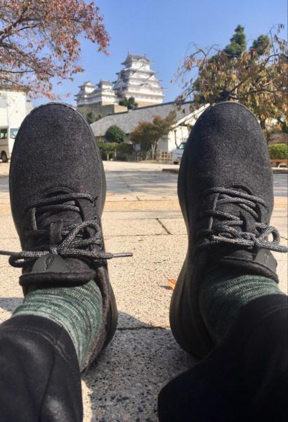 【姫路】greenbird&times;Allbirds画像