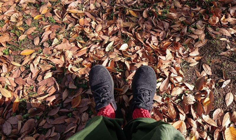 【姫路】greenbird&times;Allbirds画像