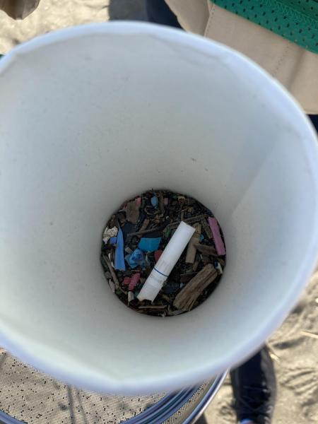 湘南海岸！江の島片瀬西浜でビーチクリーン！画像