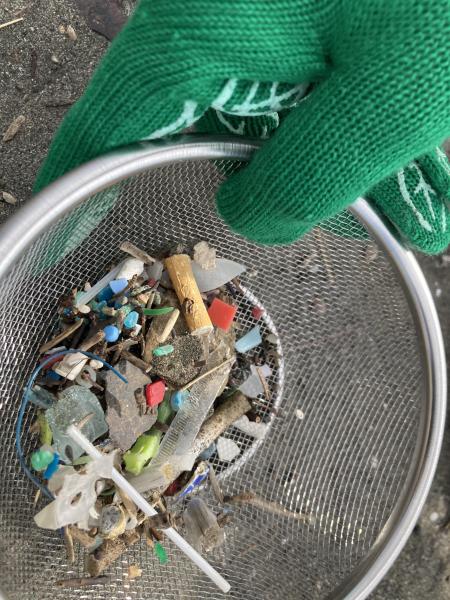 湘南海岸！江の島片瀬西浜でビーチクリーン！画像