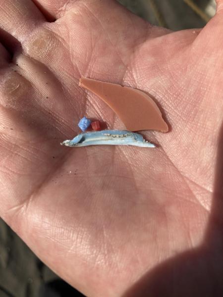 湘南海岸！江の島片瀬西浜でビーチクリーン！画像