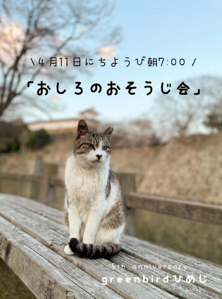 【姫路】お城のおそうじとお城のネコ。画像