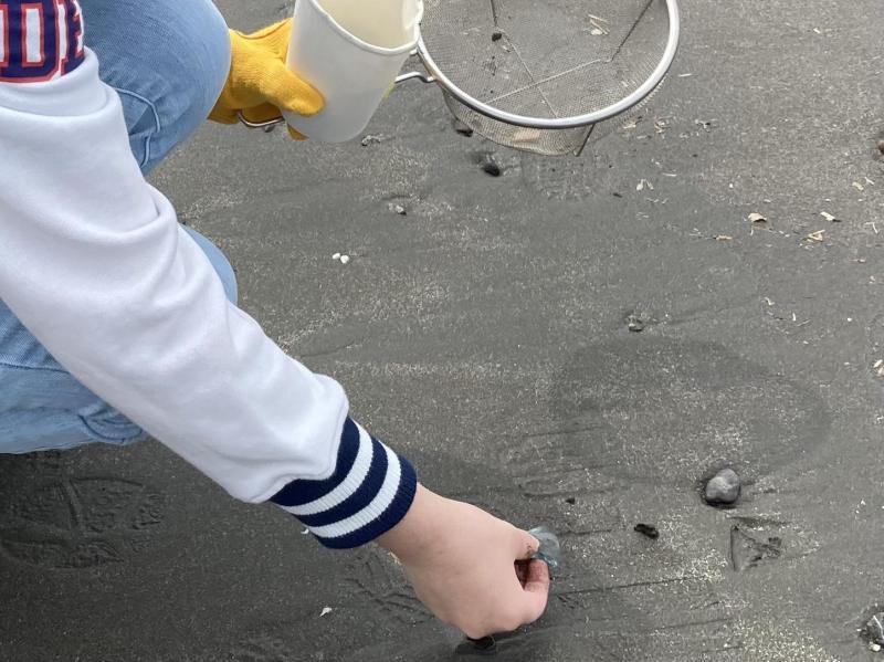 湘南！江の島片瀬西浜海岸ビーチクリーン！画像