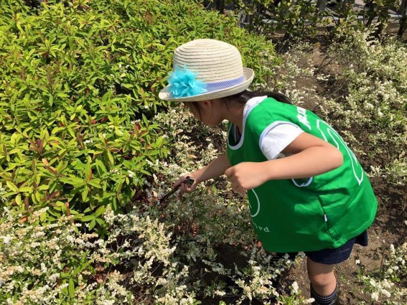 辻堂駅街ゴミ拾い画像