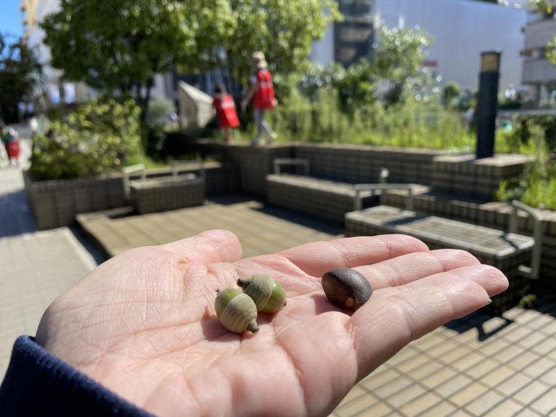 台風一過のお掃除は快晴！9/19画像