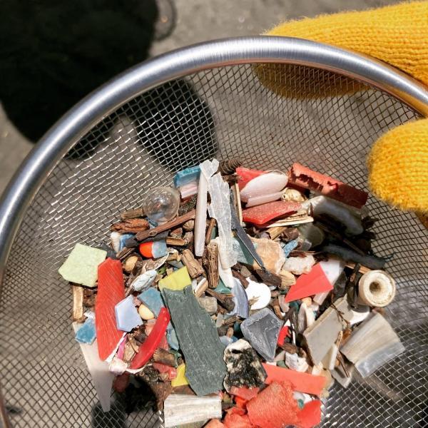 湘南！江ノ島片瀬西浜海岸マイクロプラスチックビーチクリーン！画像